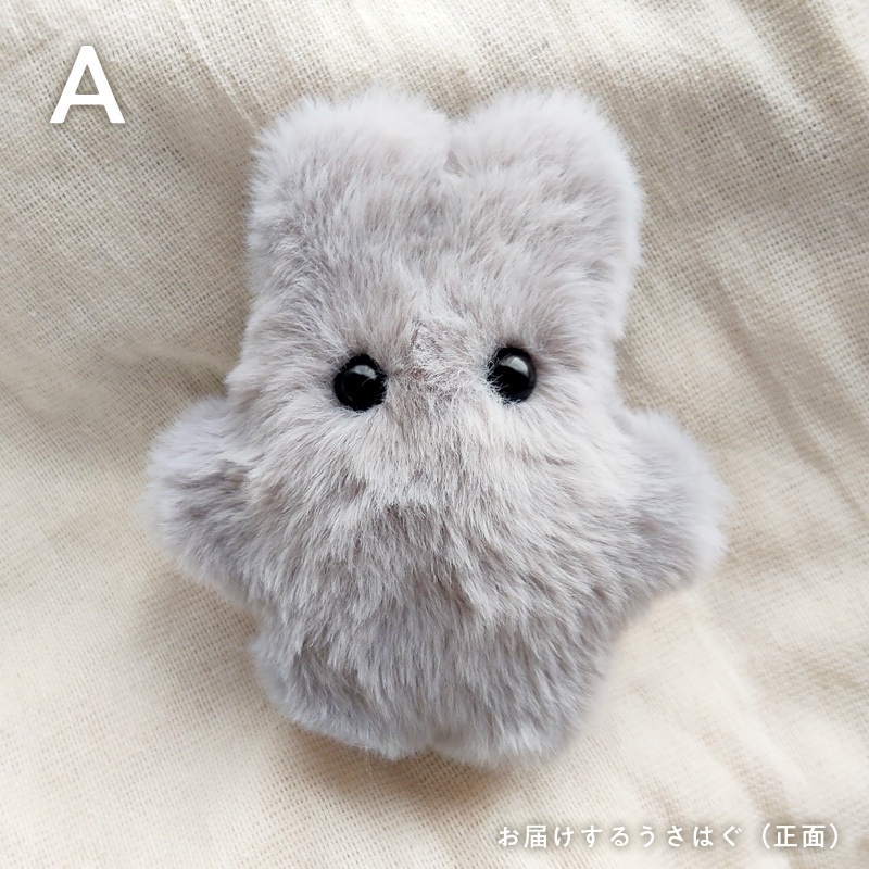 【展示中】うさはぐ usahug