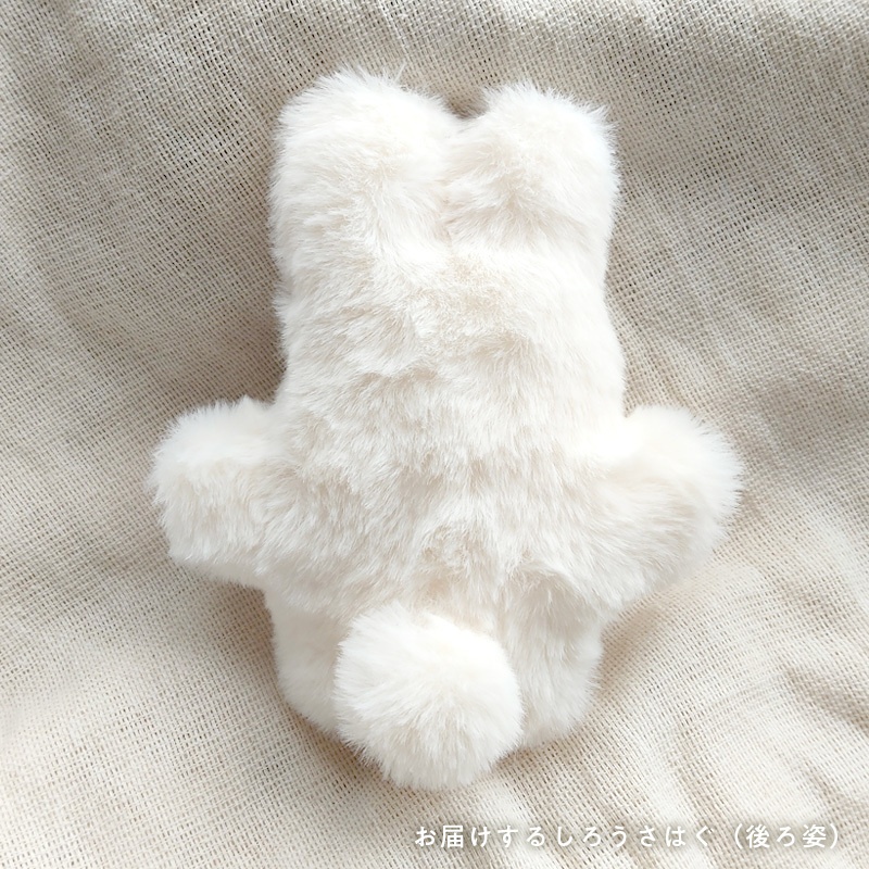 【展示中】しろうさはぐ usahug