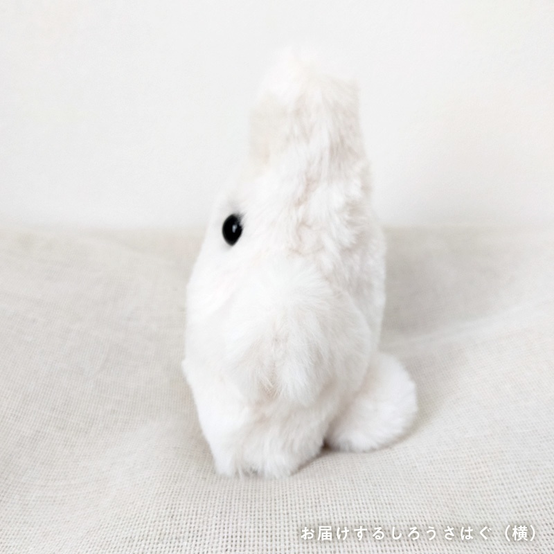 【展示中】しろうさはぐ usahug