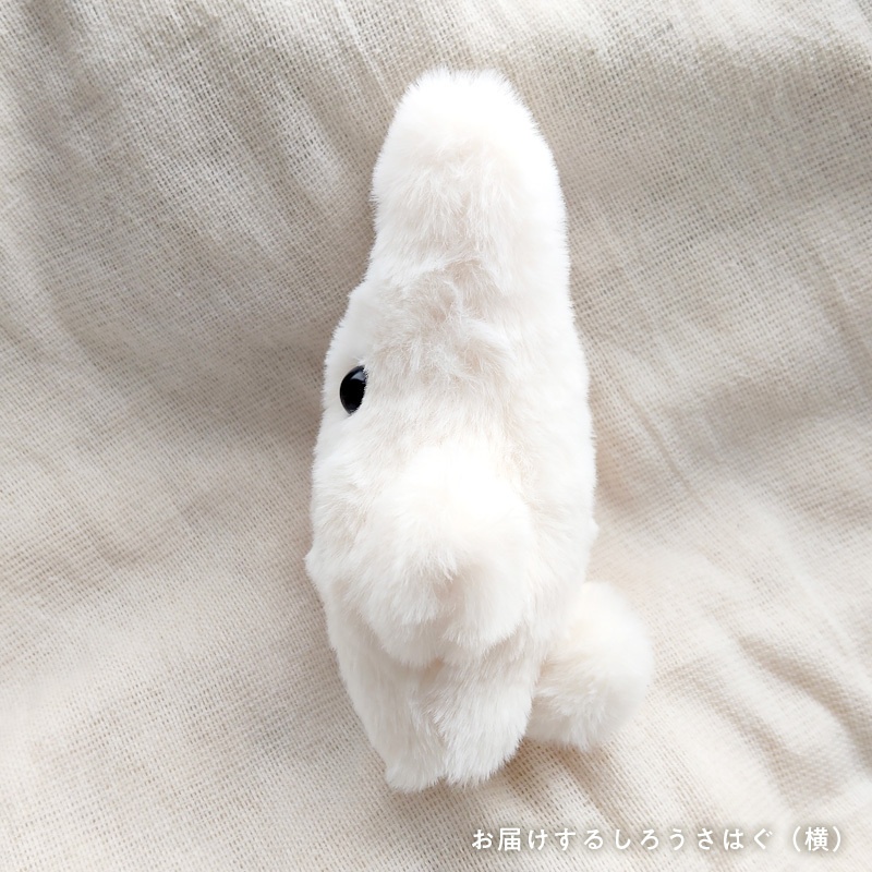【展示中】しろうさはぐ usahug