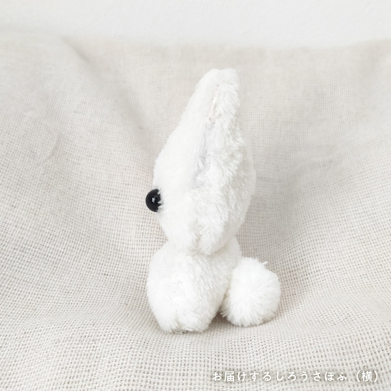 【展示中】ちっこいうさぽふ(ボ〜ルチェ〜ンズ)