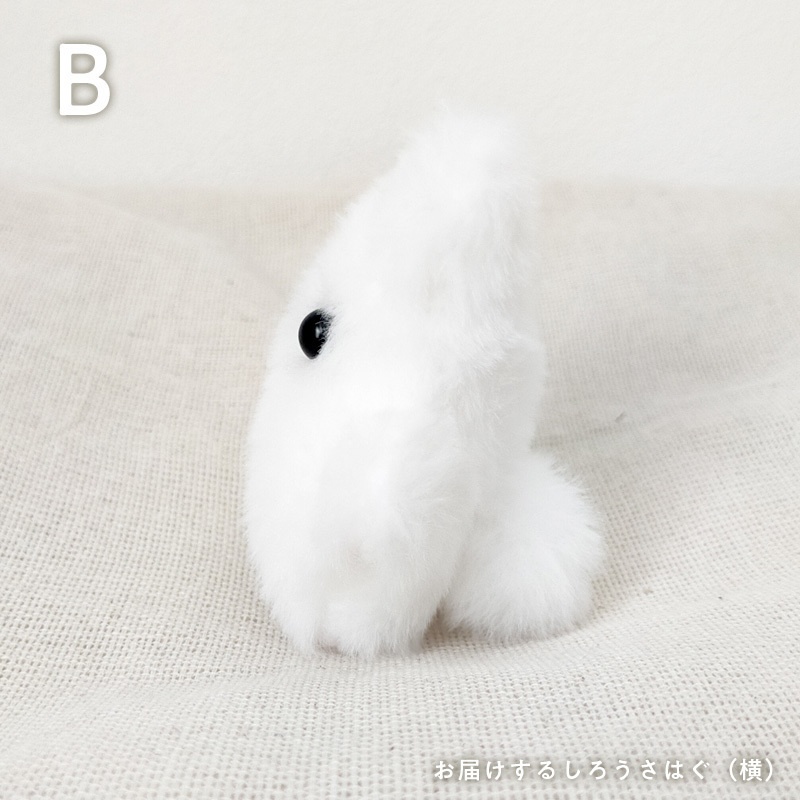 【展示中】ちっこいうさはぐ(ボ〜ルチェ〜ンズ)