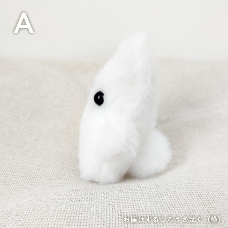 【展示中】ちっこいうさはぐ(ボ〜ルチェ〜ンズ)