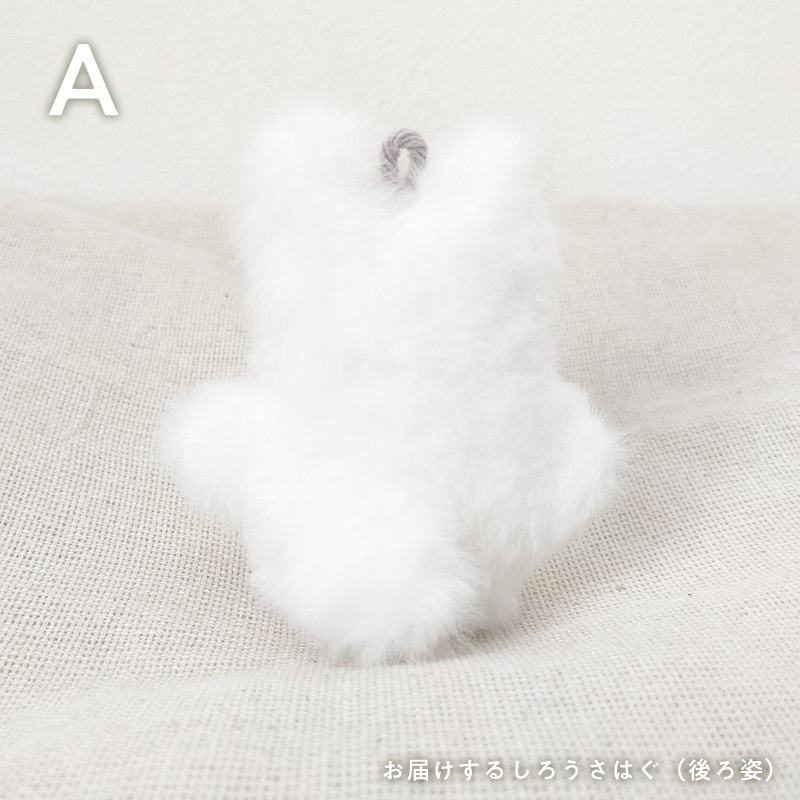 【展示中】ちっこいうさはぐ(ボ〜ルチェ〜ンズ)