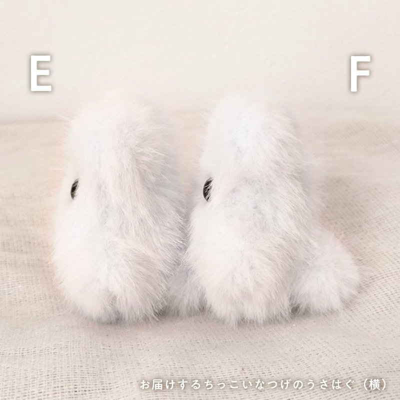 ちっこいなつげのうさはぐ