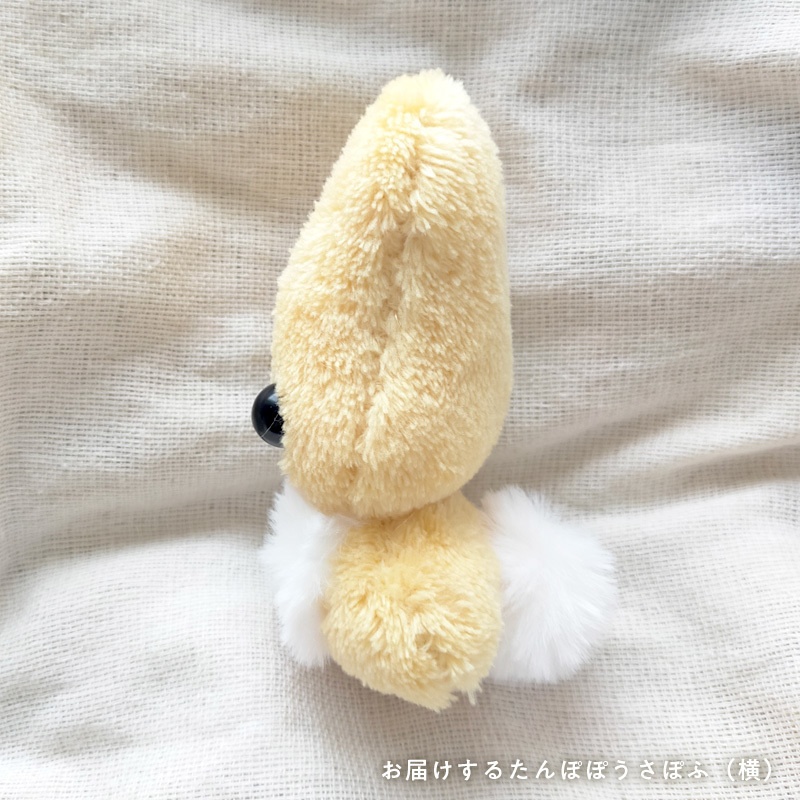 たんぽぽうさぽふ