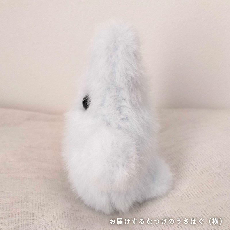 なつげのうさはぐ(しゅわしゅわブル〜)