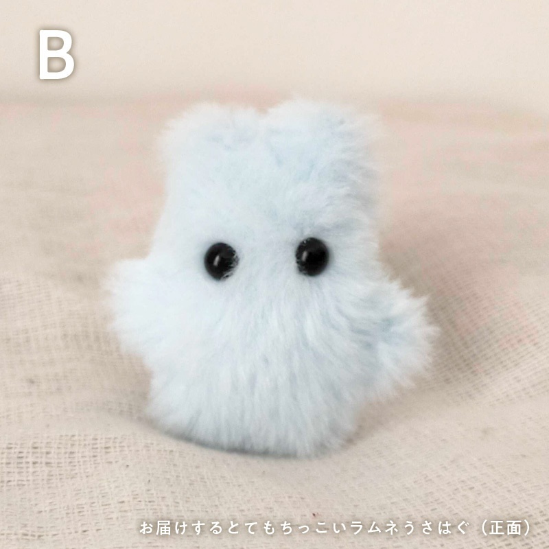 ぽふっけこびんSpecial set