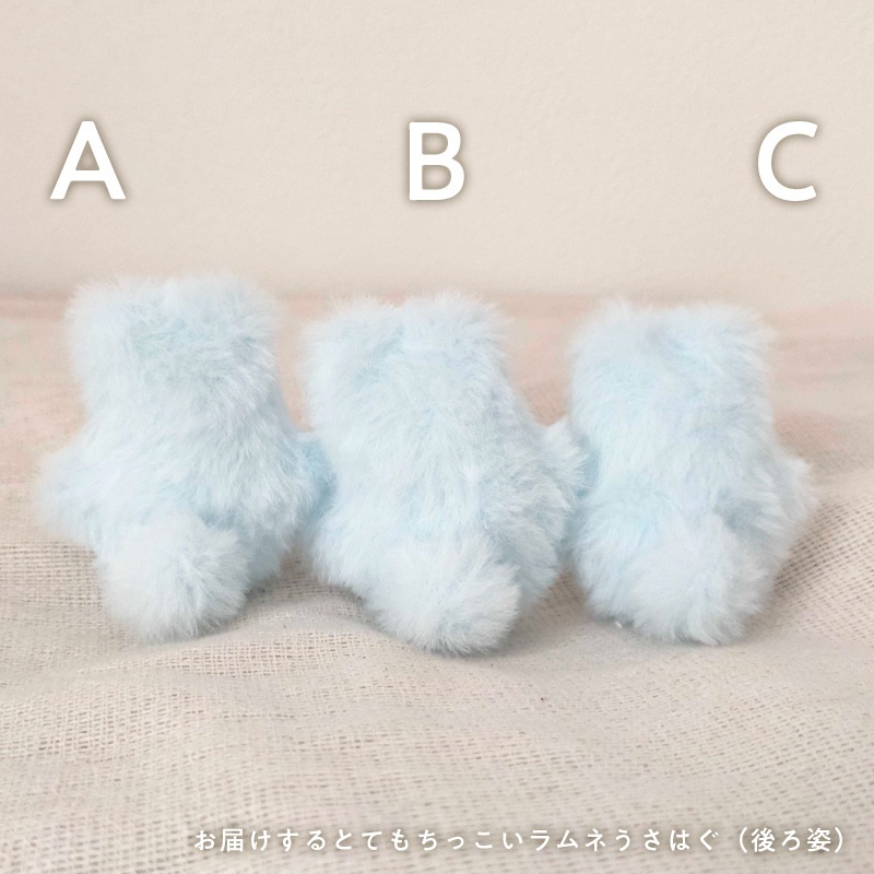 ぽふっけこびんSpecial set