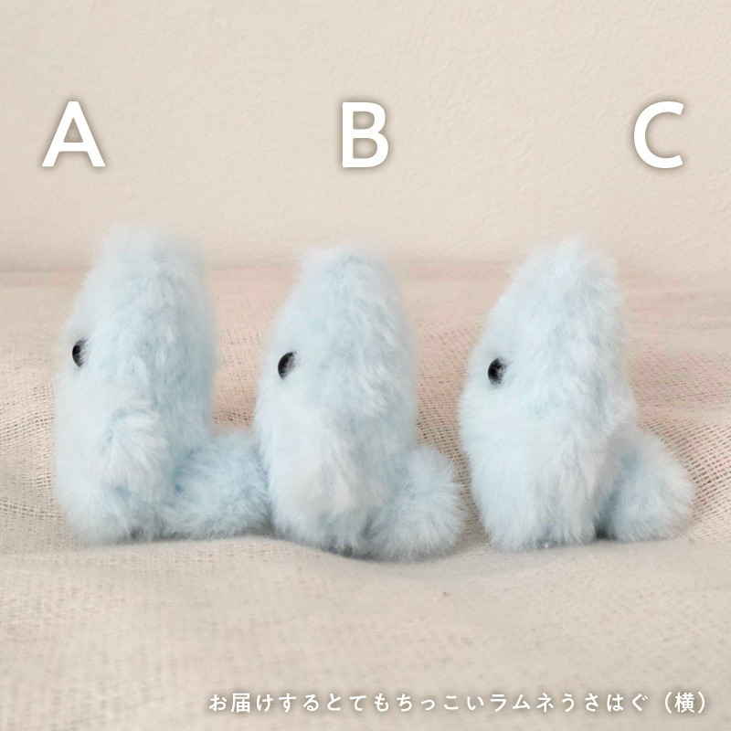 ぽふっけこびんSpecial set