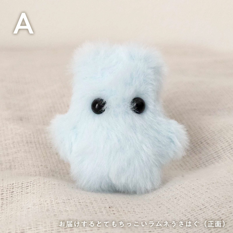 ぽふっけこびんSpecial set