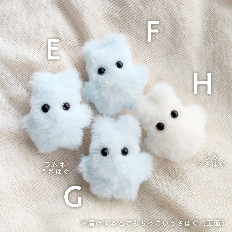 ぽふっけこびんSpecial set