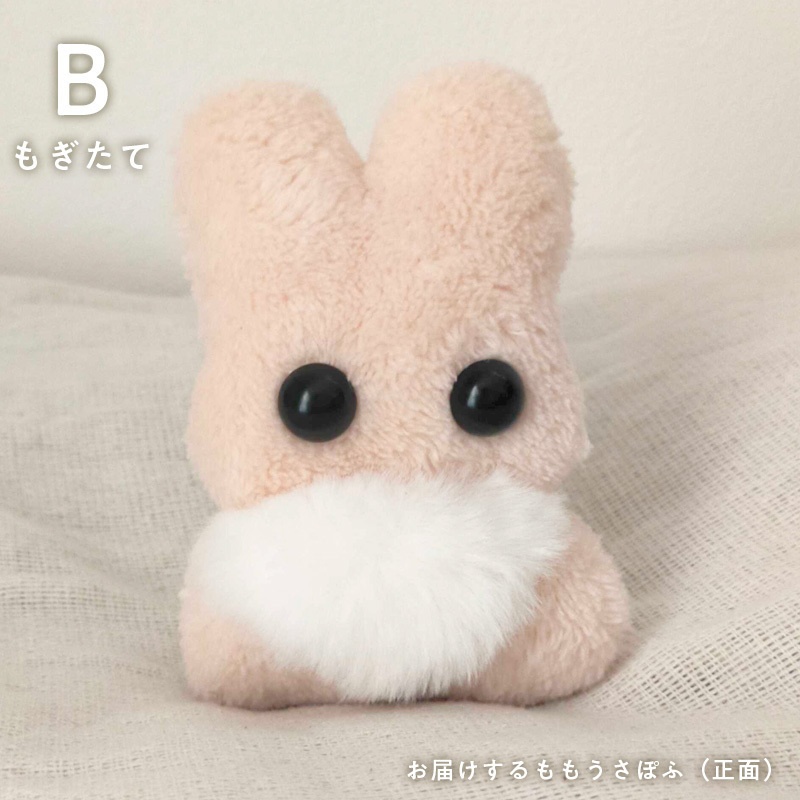 ももうさぽふ(もぎたて・たべごろ)