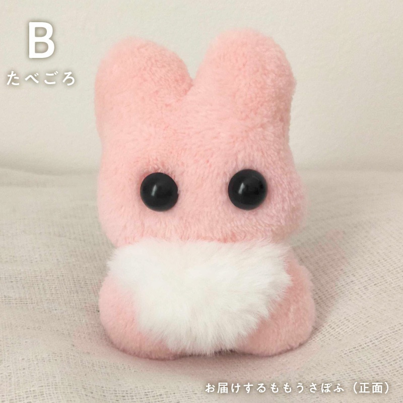 ももうさぽふ(もぎたて・たべごろ)