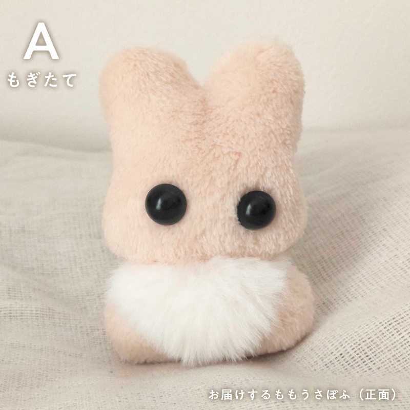 ももうさぽふ(もぎたて・たべごろ)