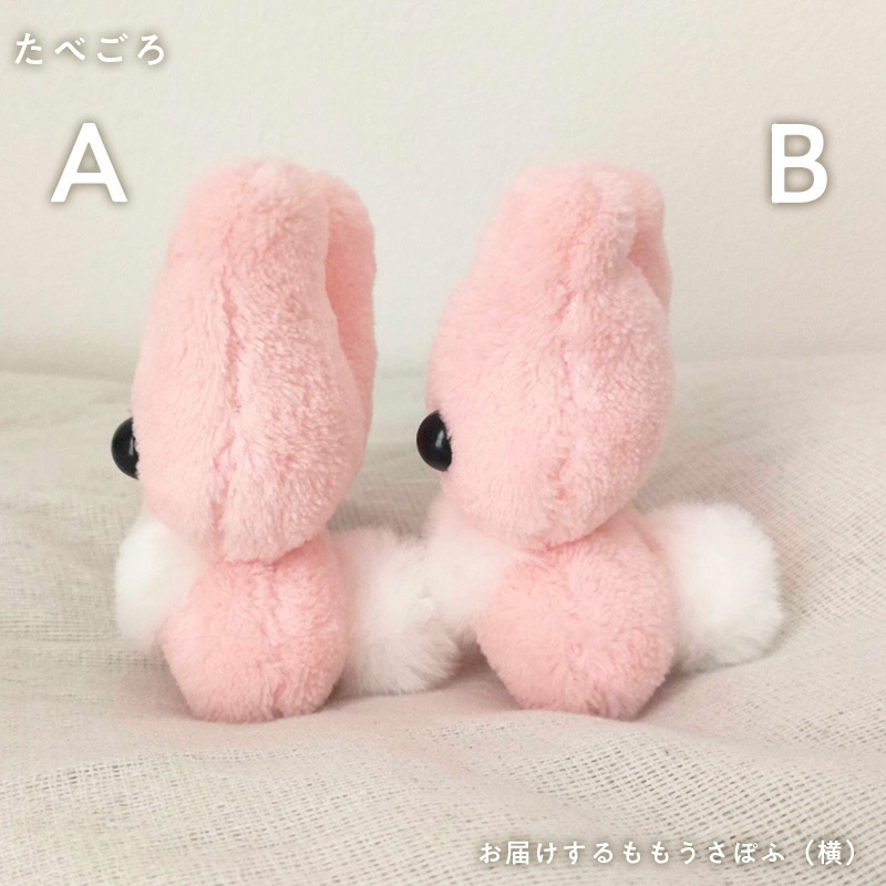 ももうさぽふ(もぎたて・たべごろ)