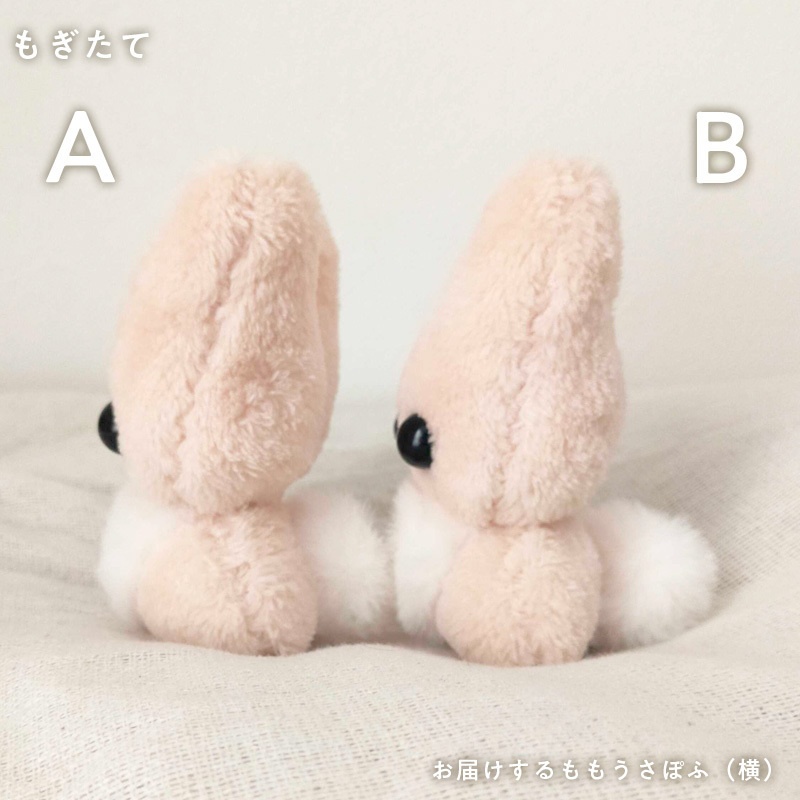 ももうさぽふ(もぎたて・たべごろ)