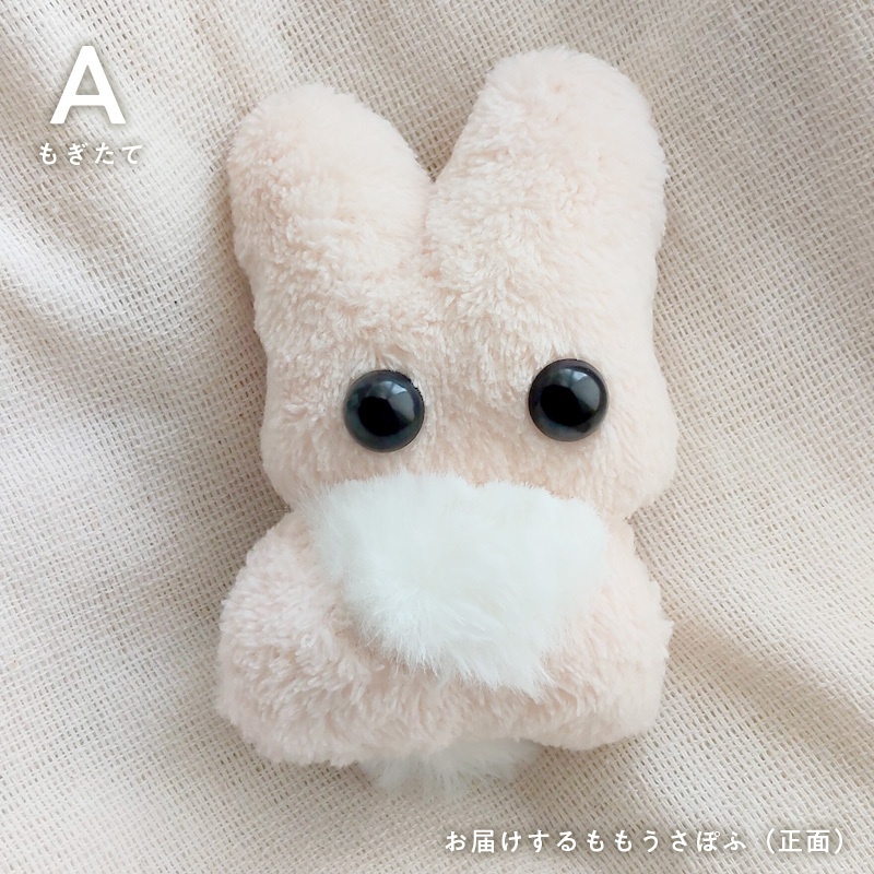 【9/5 20:00〜】ももうさぽふ
