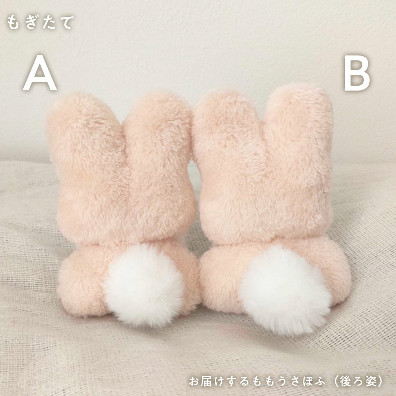 ももうさぽふ(もぎたて・たべごろ)