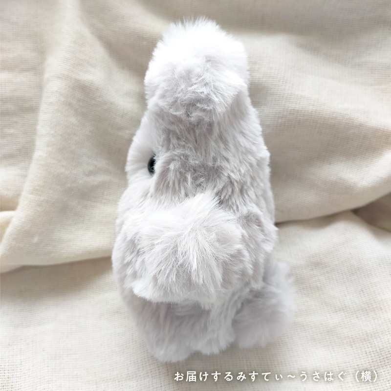 みすてぃ〜うさはぐ