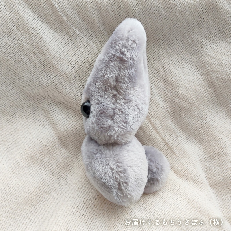【展示中】もちうさぽふ(黒ごま)