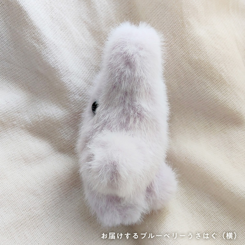 【9/5 20:00〜】なつげのうさはぐ(ブルーベリー)