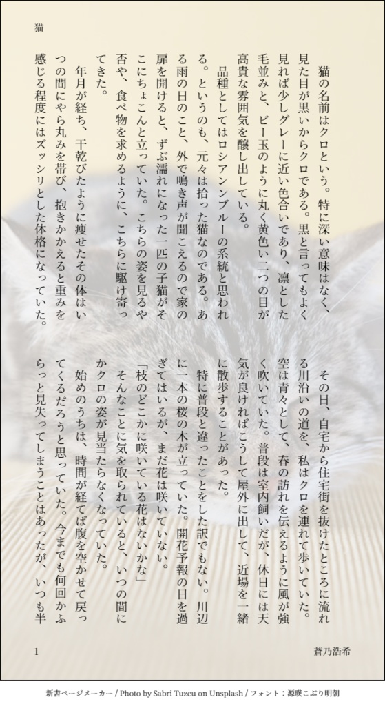 シンカタルシス