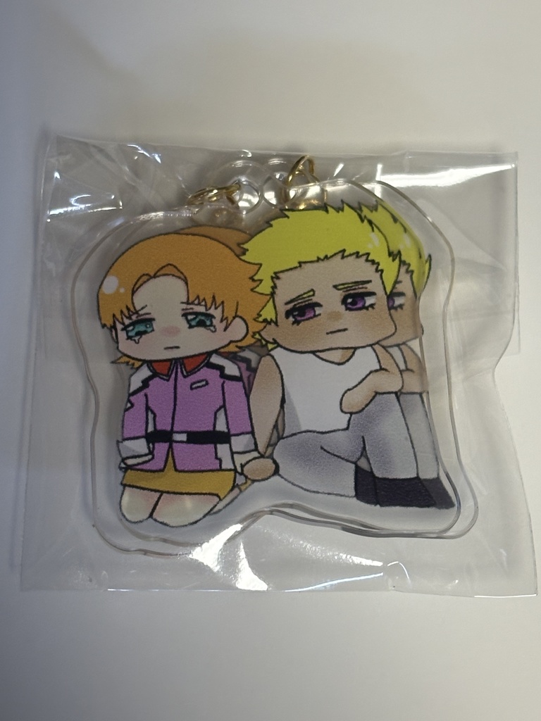 ディアミリ　アクリルイヤリング