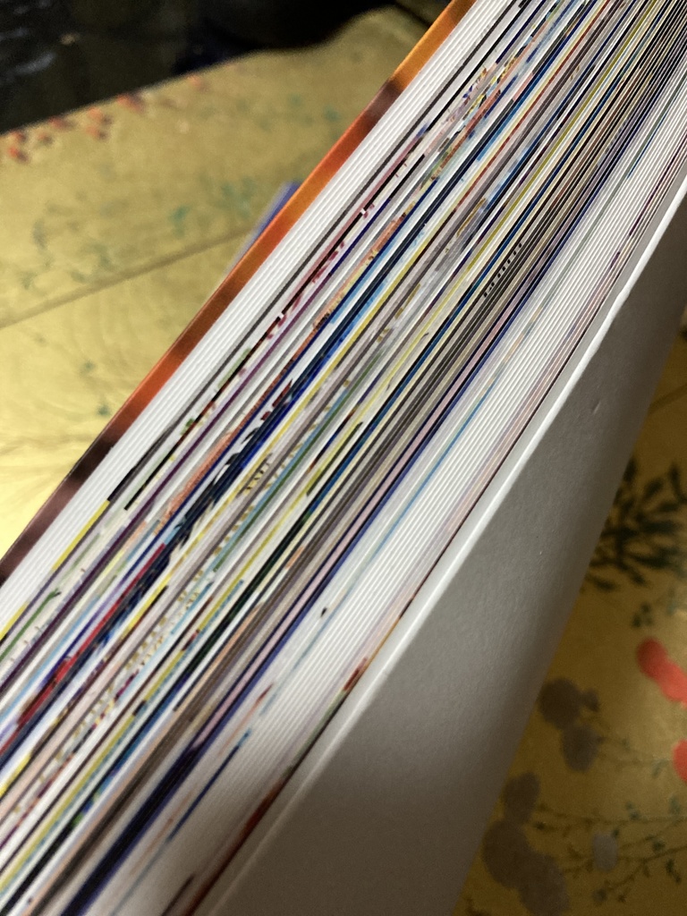 2019-2022 画集『鈍色の月(にびいろのつき)』再販(受注)