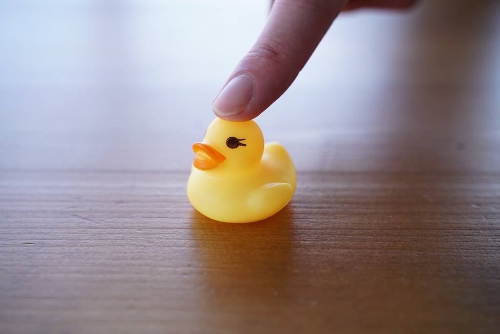 かぶスタグラム