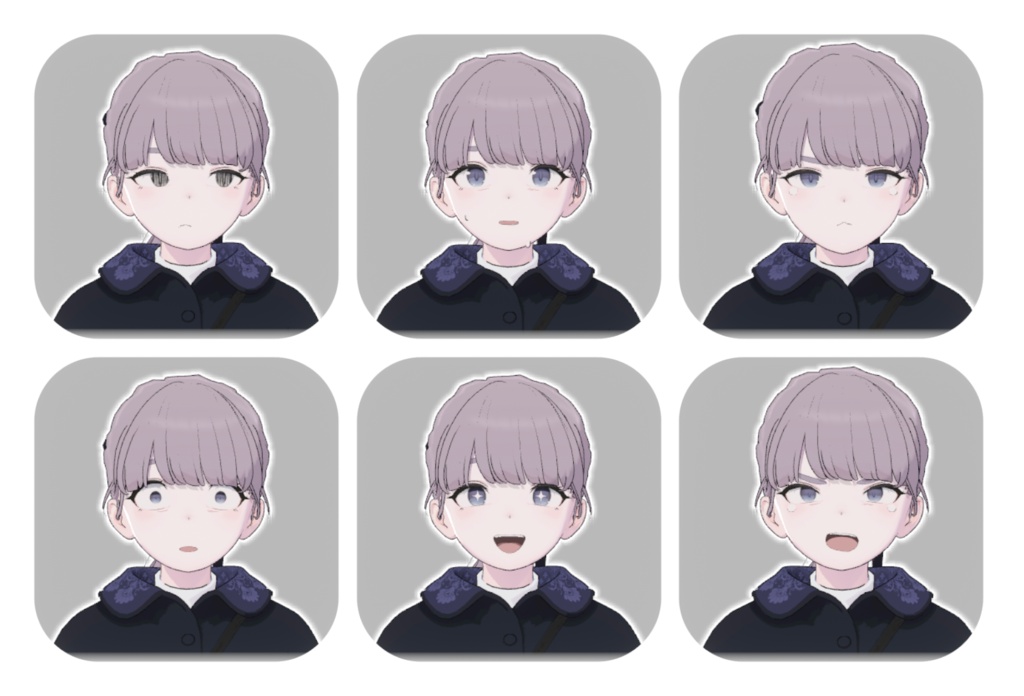 Face Expressions for Lapwing