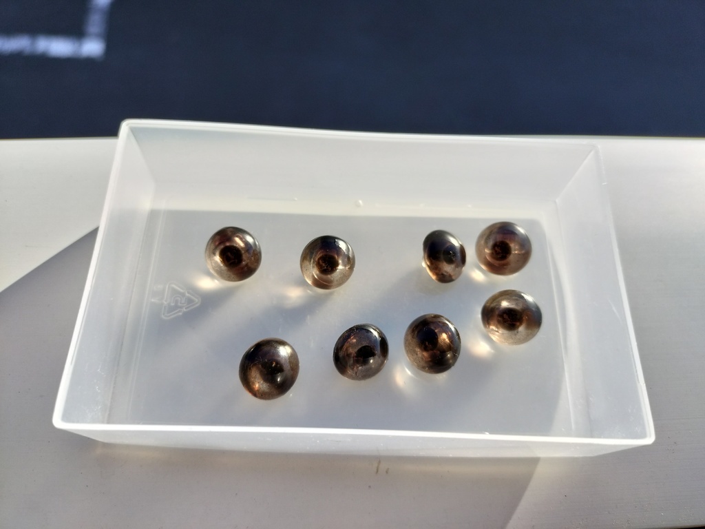 ヘビの眼レジンボタン(アオダイショウ12mm)