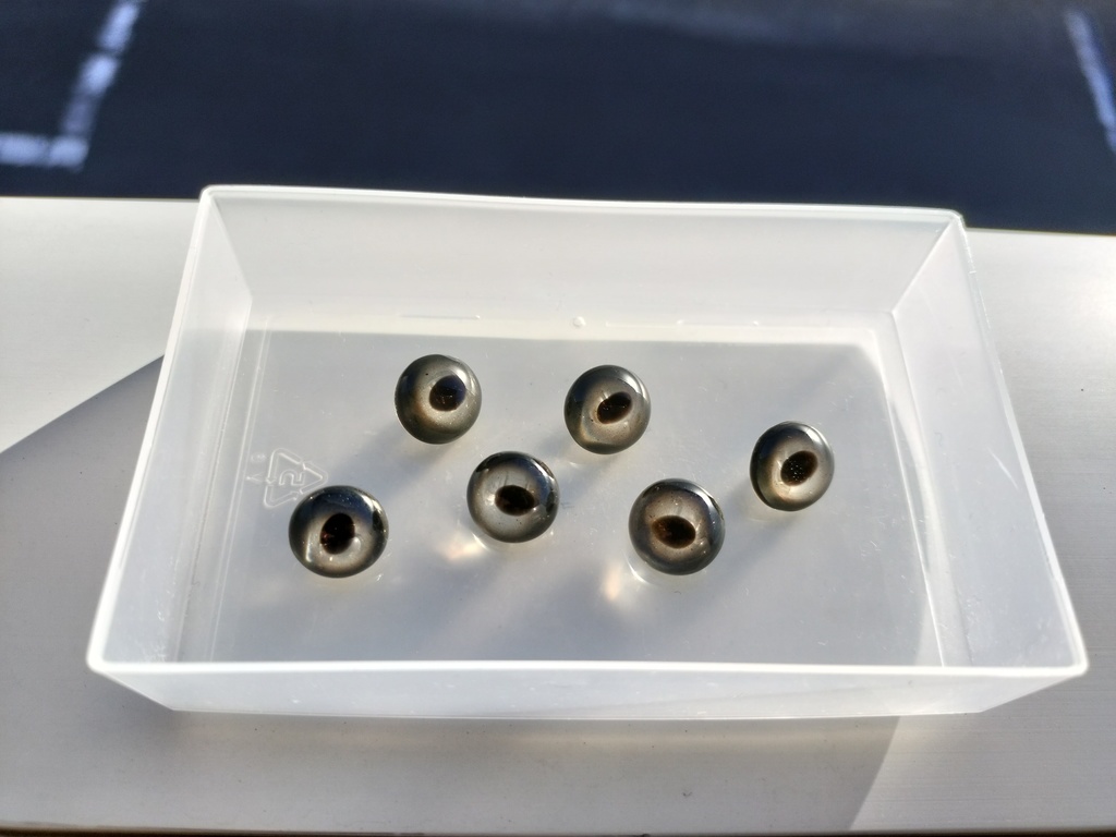 ヘビの眼レジンボタン(ボールパイソン灰12mm)