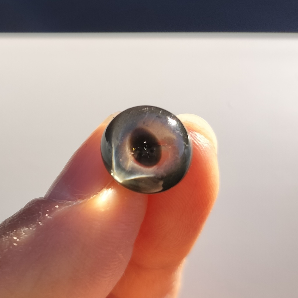 ヘビの眼レジンボタン（ボールパイソン灰12mm）