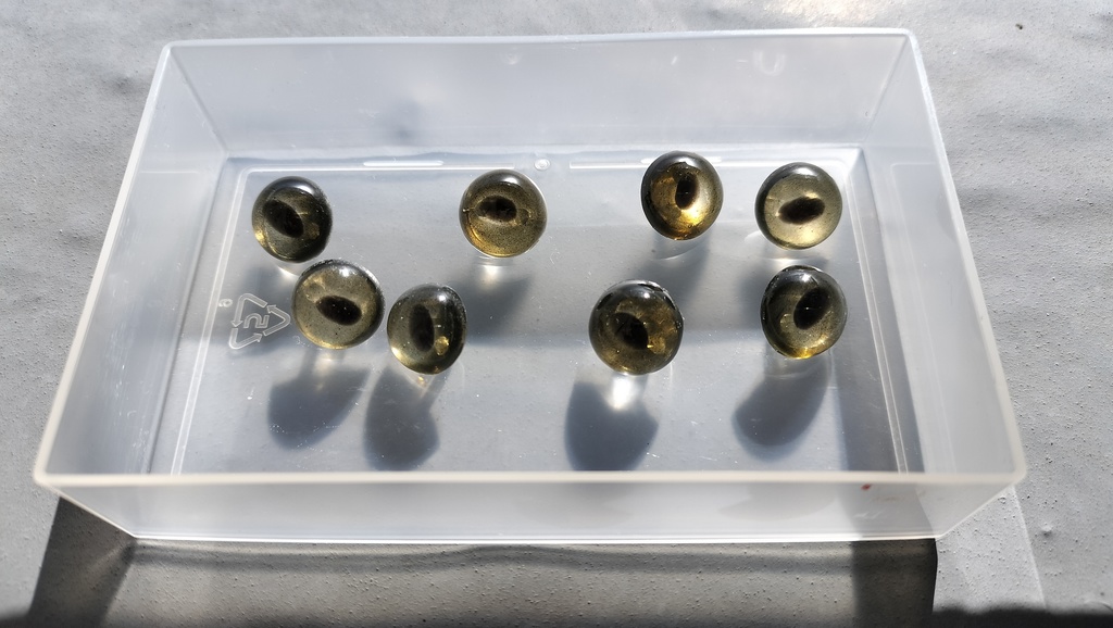 ヘビの眼レジンボタン(ボールパイソン透明黄12mm)