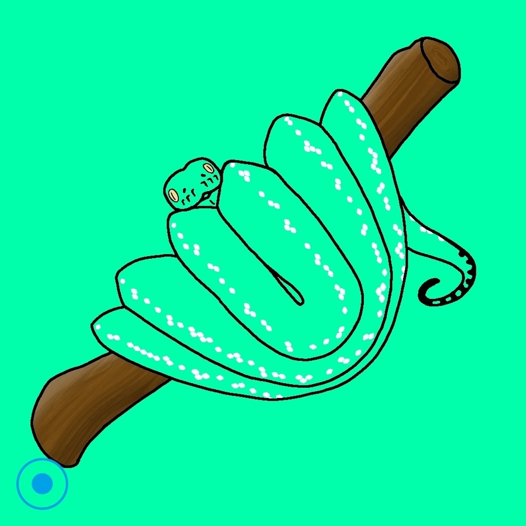 「けしきへび」景色が鱗の模様になるグリーンパイソンのアクリルキーホルダー