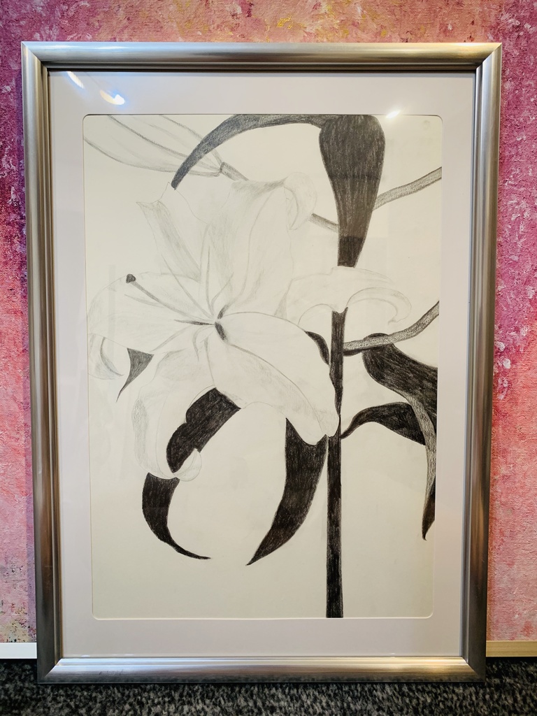 《 SOLD OUT 》原画【デッサン：百合】