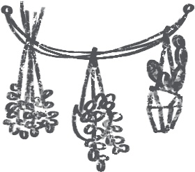 【デジタルプランナー用文具】カフェ風窓枠と植物イラストスタンプ