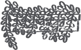 【デジタルプランナー用文具】カフェ風窓枠と植物イラストスタンプ