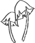 【デジタルプランナー用文具】森とキノコのスタンプ