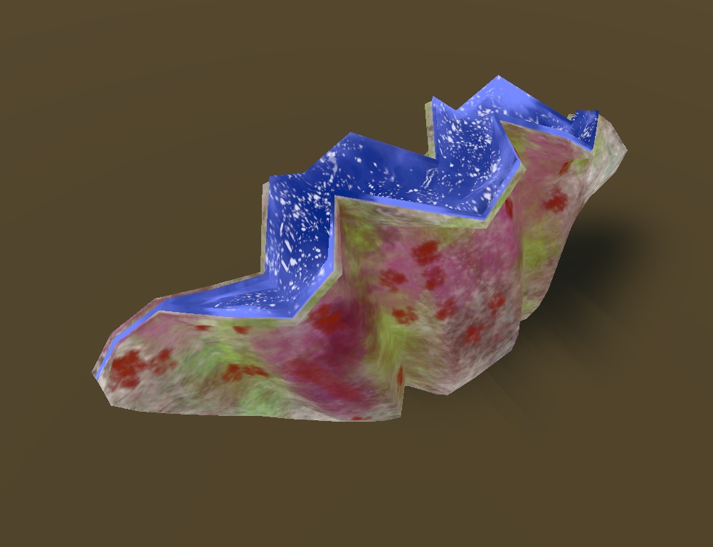 シャコガイ(シャコ貝)