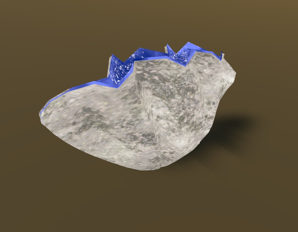 シャコガイ(シャコ貝)