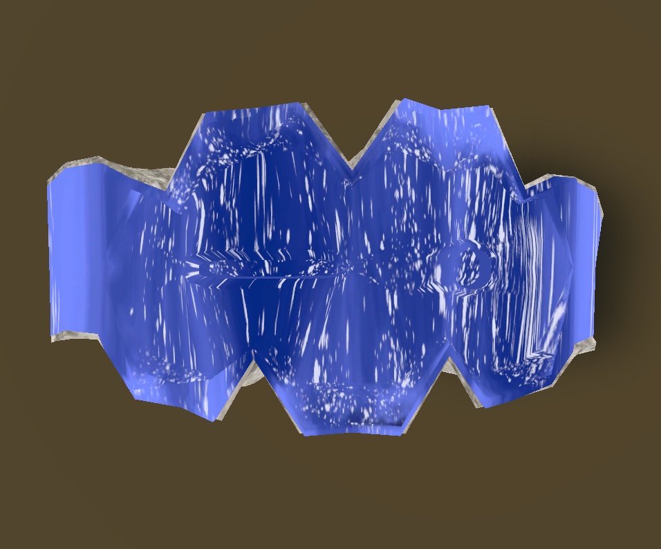 シャコガイ(シャコ貝)