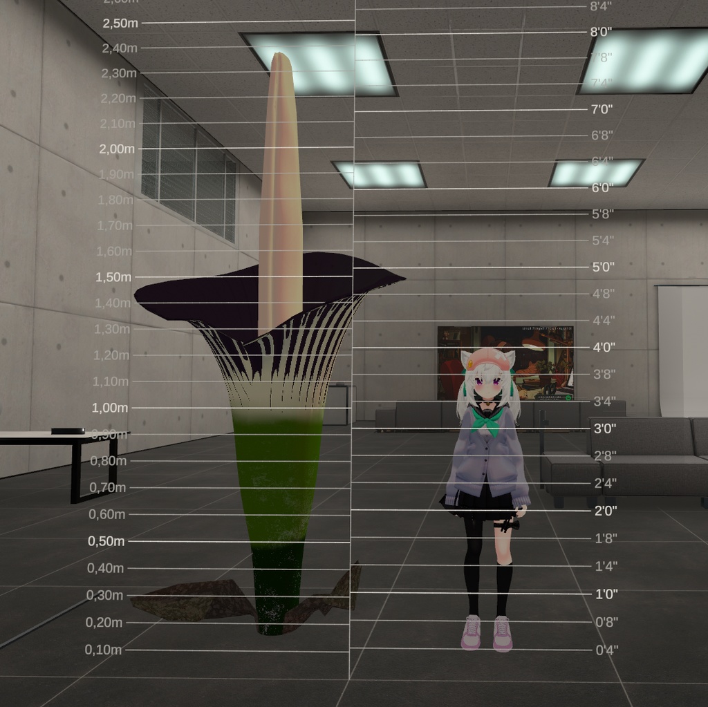 ショクダイオオコンニャク