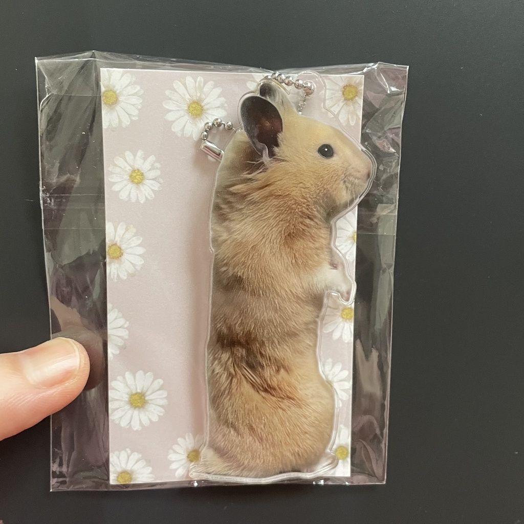 背筋ピーンのナゲット君アクリルキーホルダー