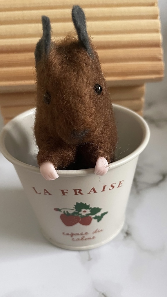 デグー