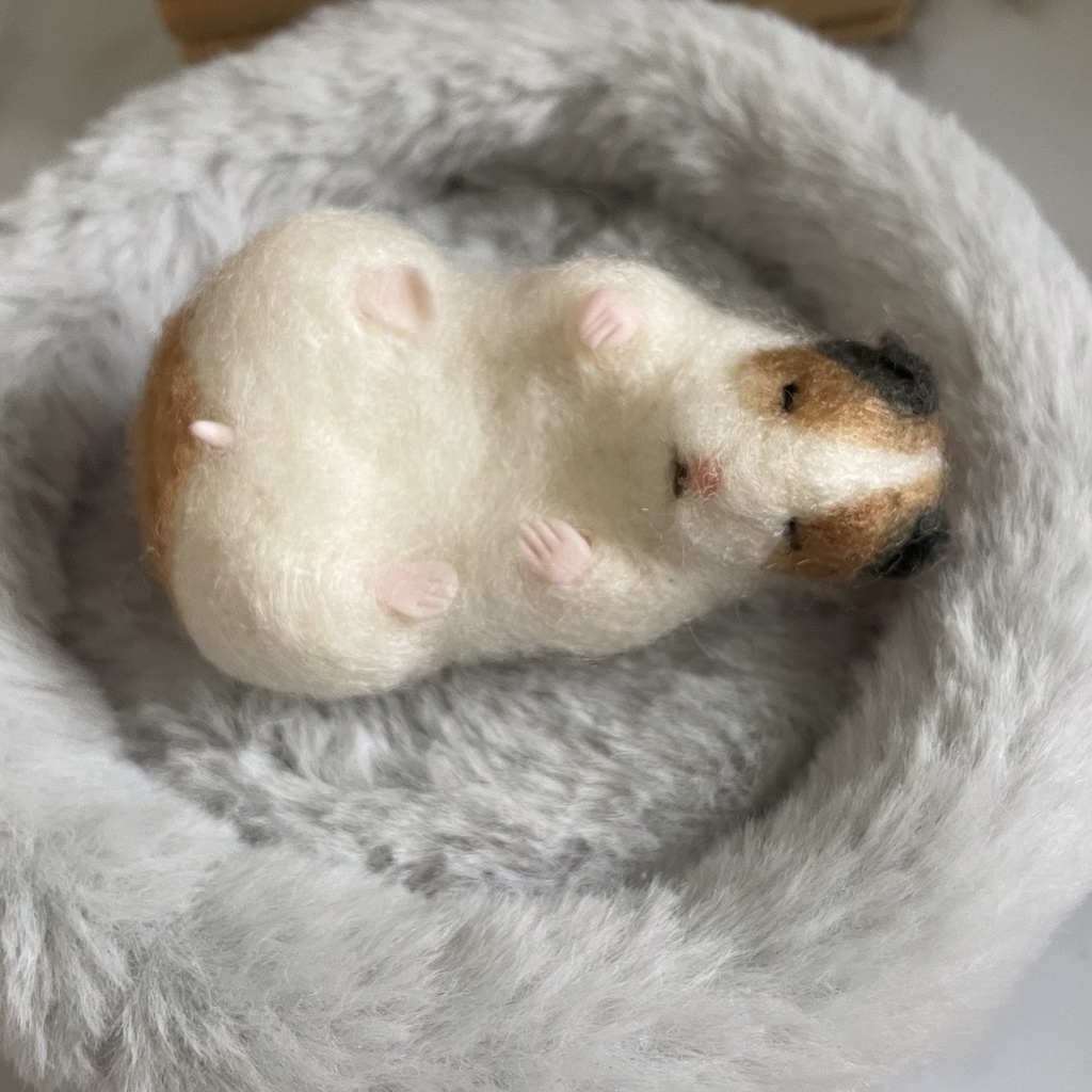 すやーなゴールデンハムスターちゃん