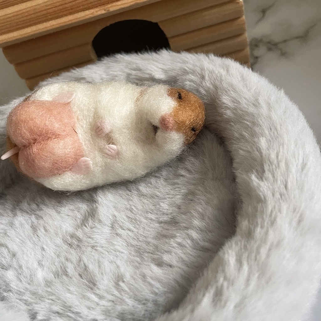すやぁなゴールデンハムスター君