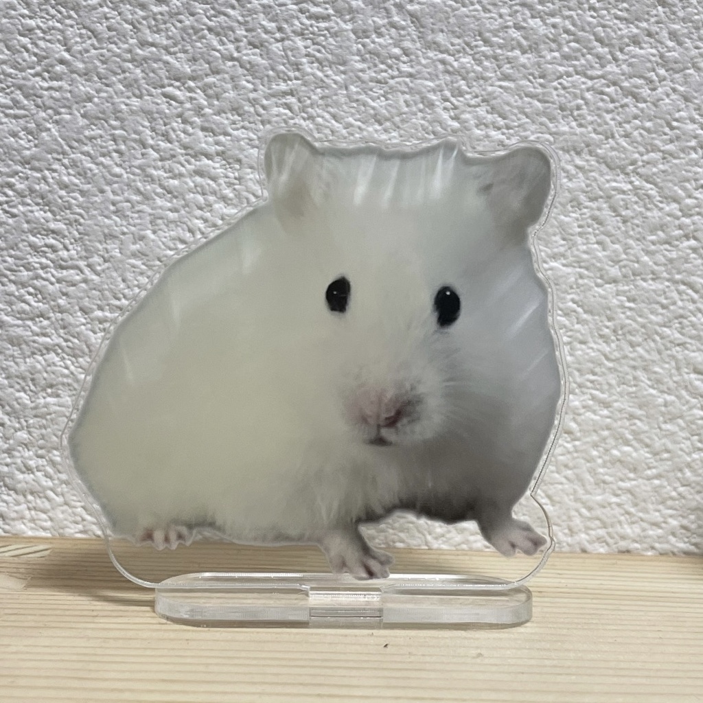 ほえ？？イカでちゅアクスタ
