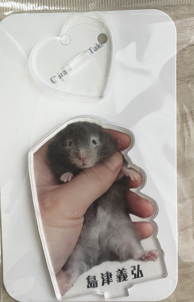 手持ちの島津義弘くんアクスタ